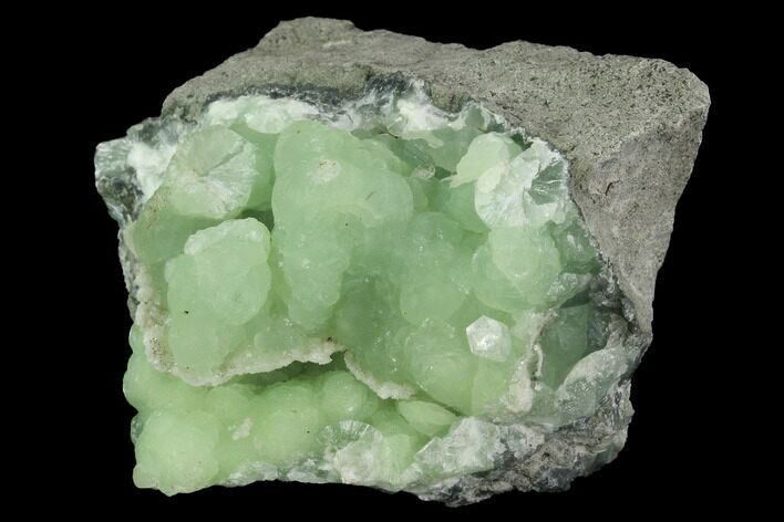 Botryoidal Prehnite Crystal Cluster - Connecticut #100172